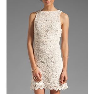 NWT Alice and Olivia Ingrid Dress
